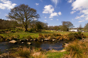 Dartmoor Scene