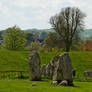 Avebury Pastoral Scene