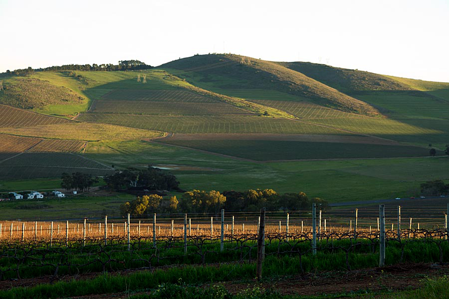 Winelands