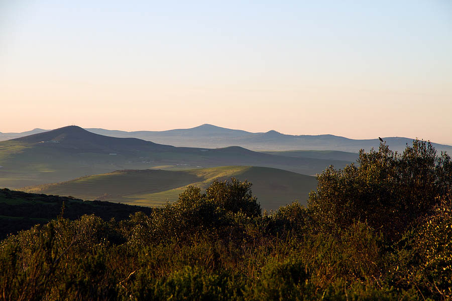 Rolling Hills