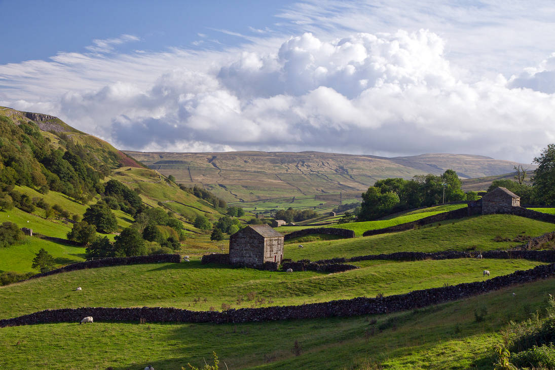Dale Vista by parallel-pam Dale Vista by parallel-pam