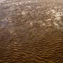 Sandy Ripples