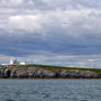 Farne