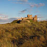 Grassy Dunes