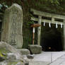 Hidden Shrine