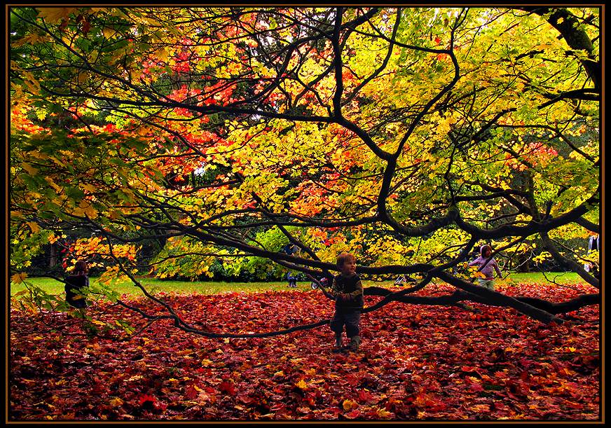 Autumn's Children