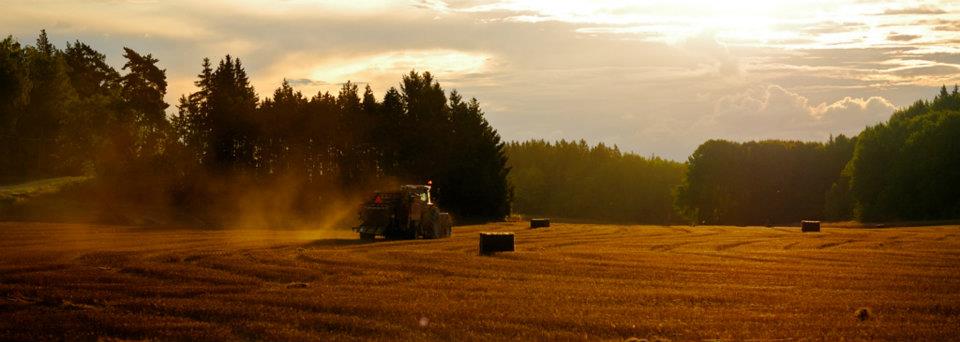 Harvest