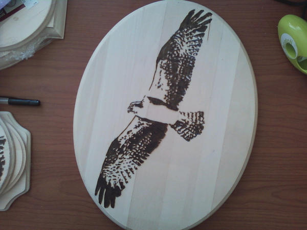 Pyrography - Osprey