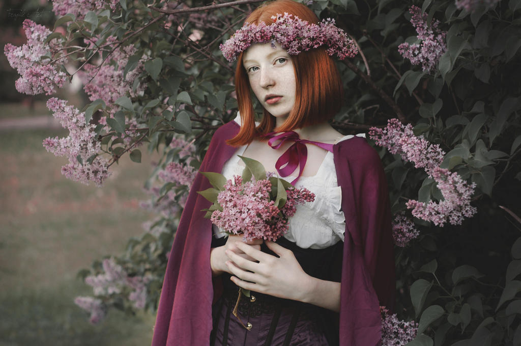 Lilacs II by Girlwithinsomnia