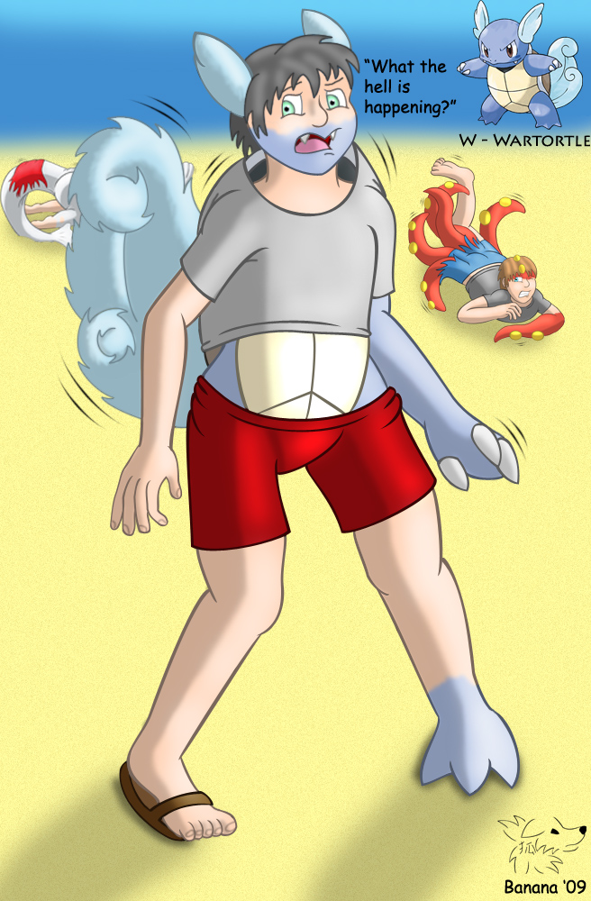 Pokemon W Wartortle Tf By Banana Of Doom00 On Deviantart Pokemon W Wartortle Tf By Banana Of Doom00 On Deviantart