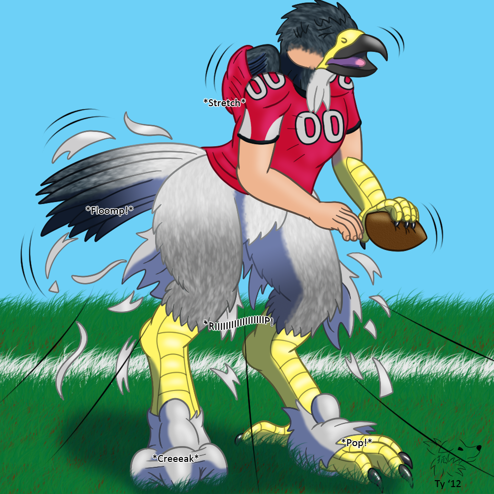 Atlanta Falcon