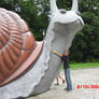 Giant Sexy Snail