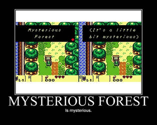 Mysterious Forest