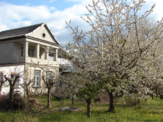 Old manor in springtime