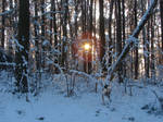 Winter dusk by Cyklopi