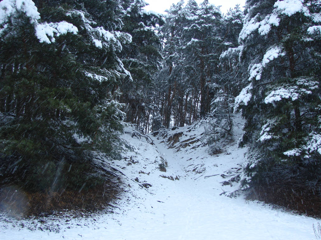 Snow blizzard