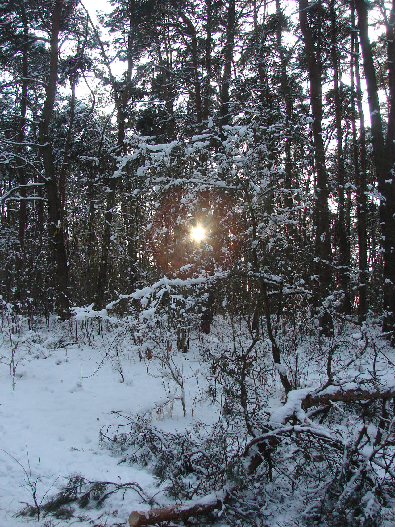 Snow and sun