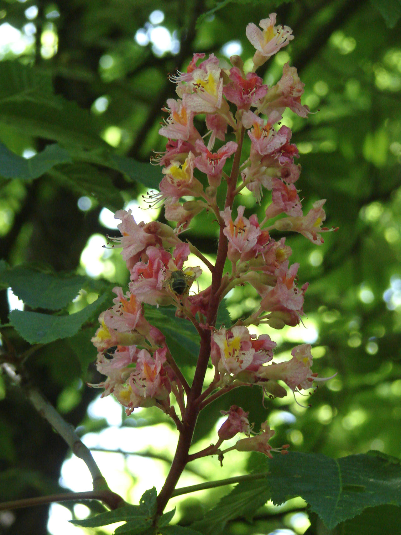 Spring will come by Cyklopi on DeviantArt