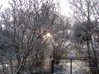 Winter gate by Cyklopi