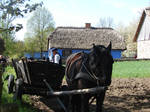 Horse and cottages by Cyklopi