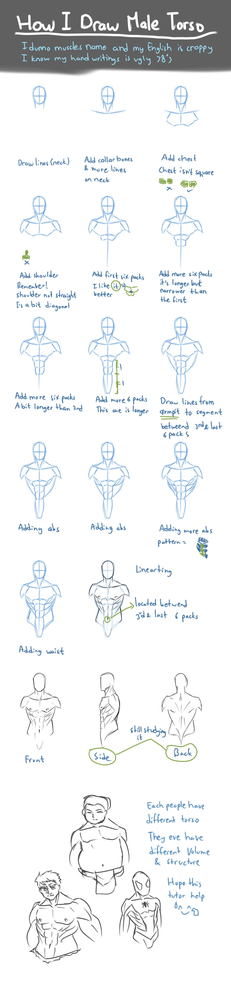 How I Draw Male Torso