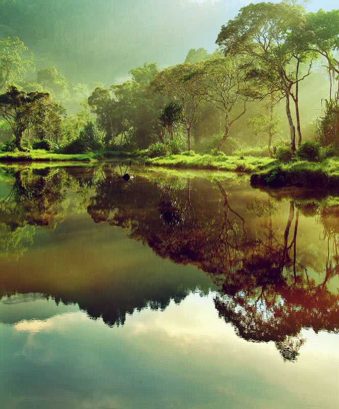 Morning at Situ Gunung II