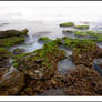 Reef of pulau manuk