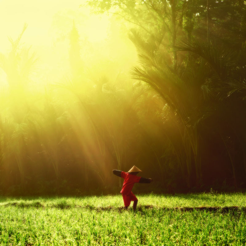 Morning Light >> Dance In The Morning Light By Juhe On Deviantart Morning Light >> Dance In The Morning Light By Juhe On Deviantart