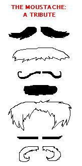 moustaches: a tribute