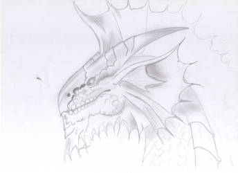 sketch Silver Dragon