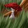 Lady Amanita