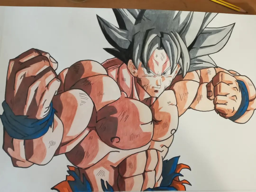 sangoku ultra instinct by totorolucats on DeviantArt