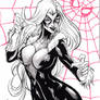 Blackcat