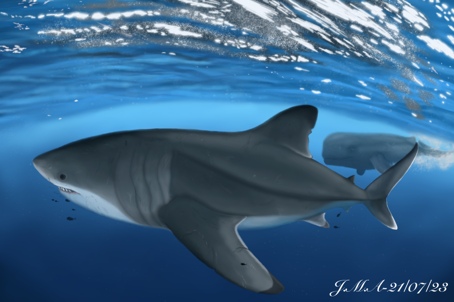 The coexistence of two big apex predators by SeaWhereIAmAt on DeviantArt