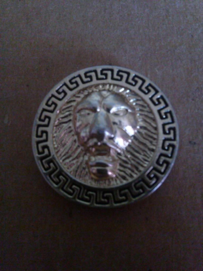 Amazing lion coin