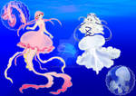 Jellyfish Adopts (CLOSED)
