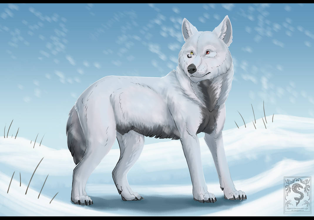 Snowolf Praject Commission Snow Wolf by Godraviazarri on DeviantArt