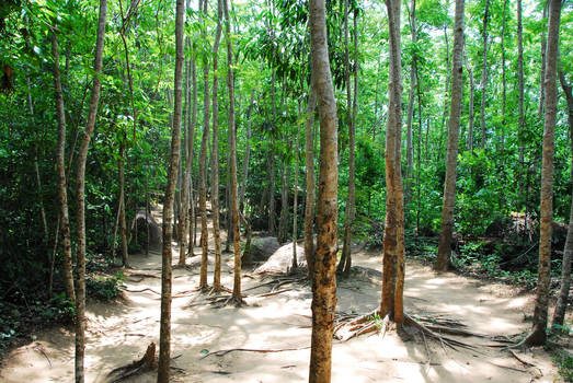 Kbal Spean path