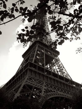 Eiffel Tower Print