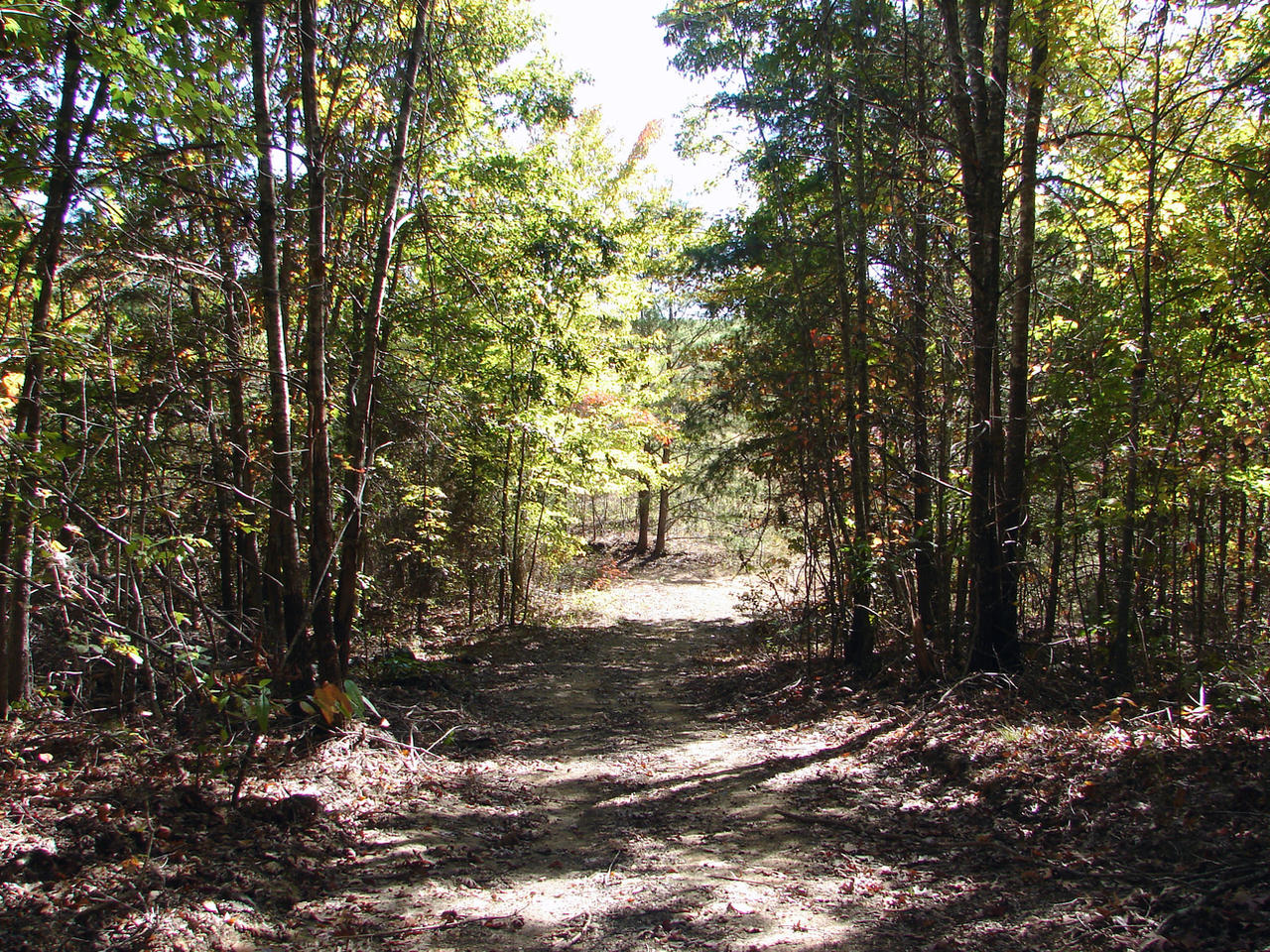 Path 46 A Path Less Traveled by codemonkey53 on DeviantArt