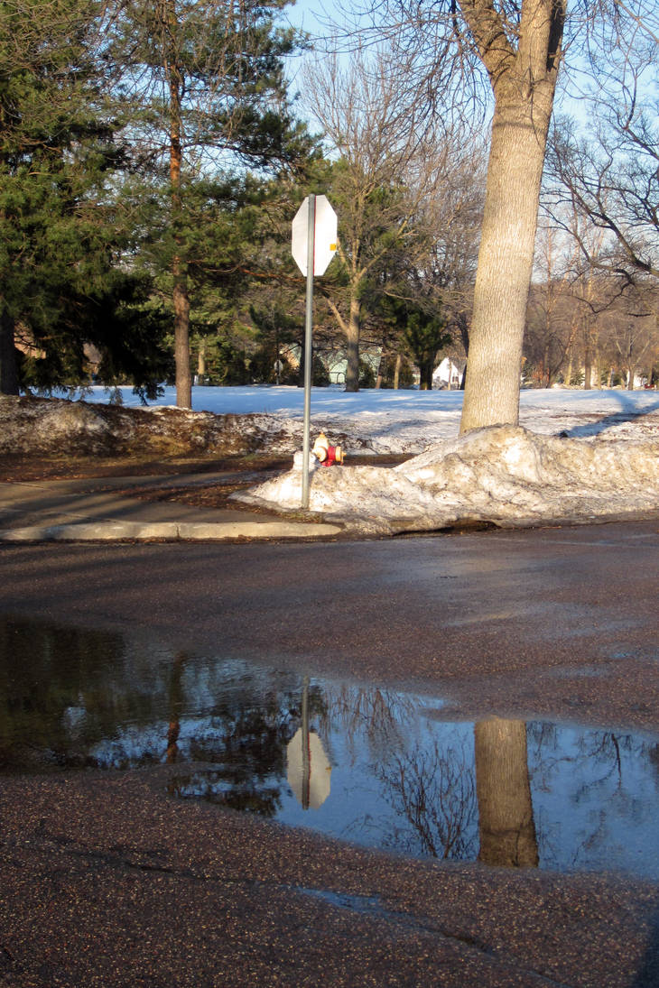 Stop Sign Reflection Stop Sign Reflection by BailaPorLapiz on DeviantArt