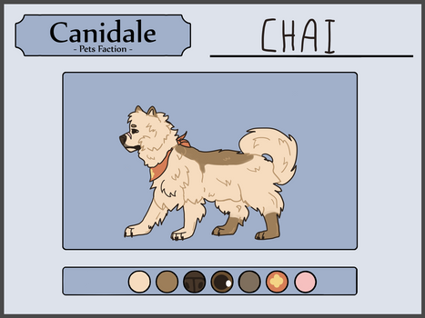 Chai - Canidale Application Form