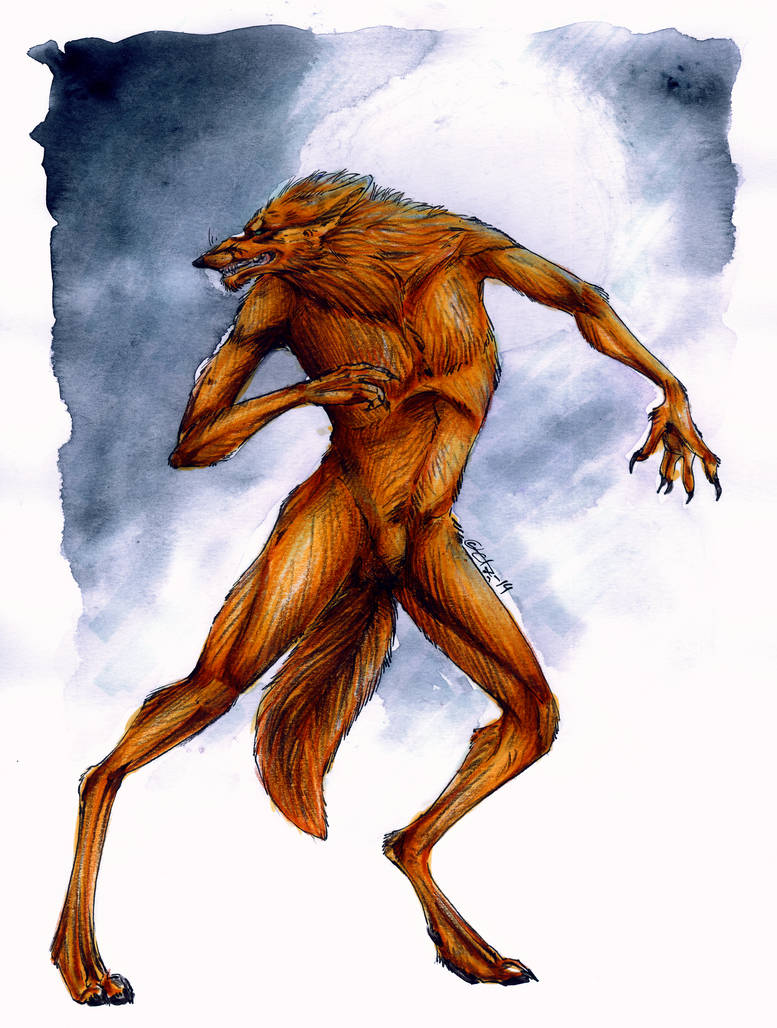 Werwolf Complex Werwolf by Etae on DeviantArt