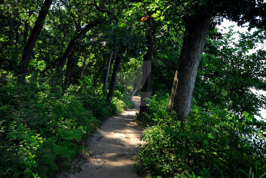 Riverside Path by Coyote-Grey on DeviantArt