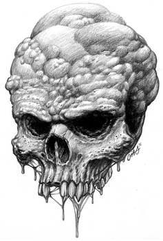 Bubble skull