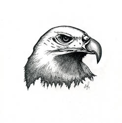 Eagle