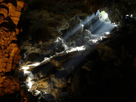 A Light in the Darkness (Vietnam)