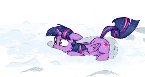 Twilight cat in the snow