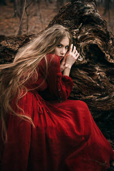 Beautiful witch who lives in the woods