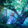 Princess in vintage dress walking in magic forest